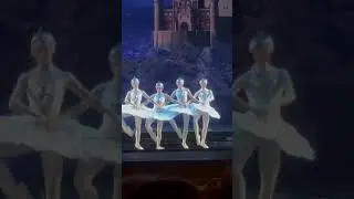 Танец маленьких лебедей #лебедь