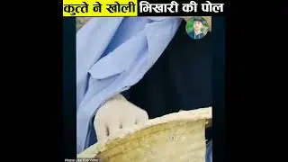 कुत्ता ने खोला कैसे भिखारी के पोल लें | SHORTS