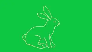 Rabbit outline jumping green screen