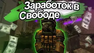 STALCRAFT Сколько можно Заработать Валюты за Свободу?