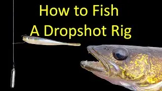 How to Fish a Dropshot Rig for Bass and Bluegills (underwater footage)