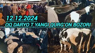 SAMARQAND V OQ DARYO TUMANI YANGI QURGʻON CHORVA BOZORIDAN NARXLAR 12.12.24 ELYOR UZ 📠 901998090
