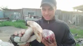 Огородные дела💓 Отдых на природе с пользой 💓