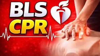 BASIC LIFE SUPPORT BLS  CERTIFICATION:  TIPS TO PASS THE BLS CERTIFICATION LIKE A PRO IN 2024