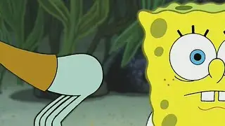 SpongeNeeds