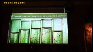 Токсикология в зеркале истории