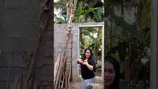 TikTok Tante semok