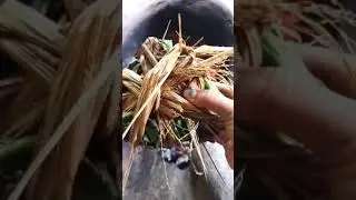 Chulhe ki sabji #village cooking #Authentic odia cooking #Patrapoda