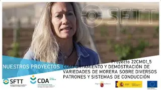 Proyecto 22CMO1_5 COMPORTAMIENTO Y DEMO.VARIEDADES MORERA SOBRE DIVERSOS PATRONES Y SIST. CONDUCCIÓN