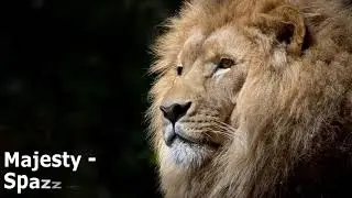 Majesty - Spazz Cardigan [Audio Library Release] · Free Copyright-safe Music