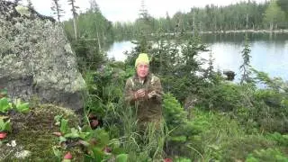 Шикша. 22