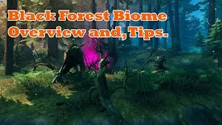 Valheim -  Learn about the Dark Forest in a Biome Overview and, General Tips.