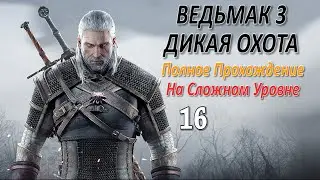 Ведьмак 3 Дикая Охота Профессиональное Прохождение Ч.16 - Дочь Барона/Приют На Болотах/Ивасик (Сюж.)