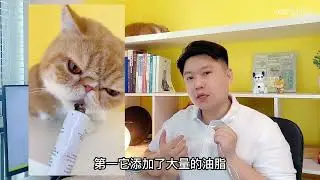 猫草、化毛片、化毛膏，预防猫咪毛球症应该怎么选？