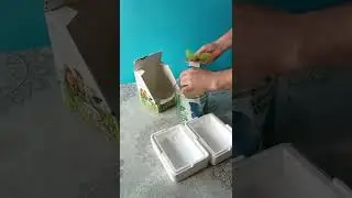 пенопластовый термобокс для зимней транспортировки куколок и коконов бабочек