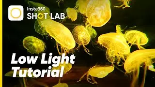 Insta360 Ace Pro - How to Shoot in Low Light
