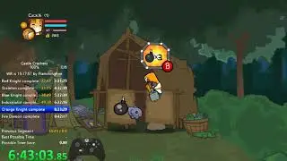 Castle Crashers 100% speedrun 