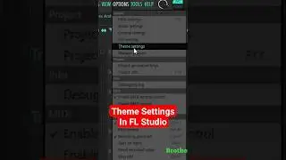 Theme Settings In FL Studio.