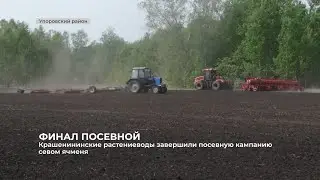 Крашенининские растениеводы завершили посевную кампанию севом ячменя