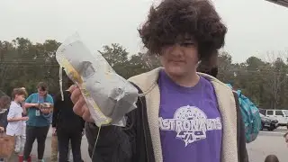 Epic Egg Drop Challenge