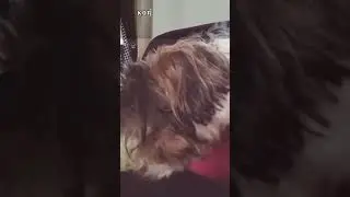 Забытые слова