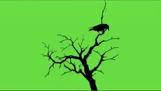 Ghost green screen no copyright © | green screen videos |