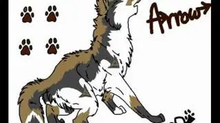Audition for Shay, Arrow, and Milky on Dare to dream