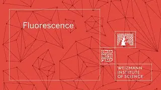 Fluorescence