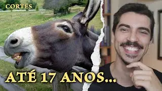 Um fato curioso sobre minha adolescência