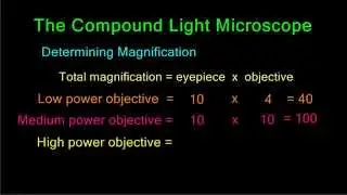 Determining Magnification