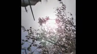 𝑶𝒗𝒆 - 𝑰𝒏𝒕𝒓𝒐𝒔𝒑𝒆𝒄𝒕𝒐𝒓
