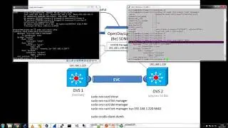 OVSDB EVC Example Using ODL 2