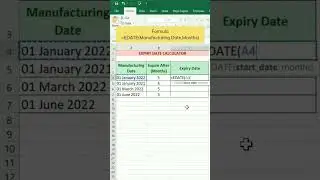 Expiry date calculator 🤩 #excel #excelformulas #exceltips