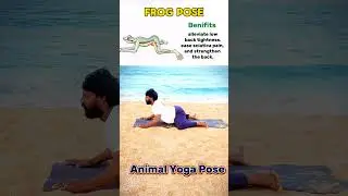 animals pose 