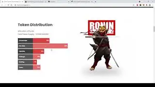 RONINGAMES - Not Investable. no future. DYOR