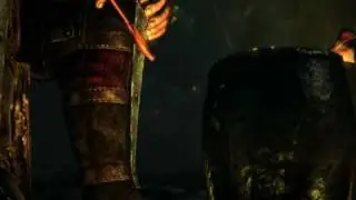 The Witcher 2  Assassins of Kings [HD]  - MOCustoms.co.uk