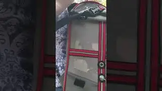 Попугай Жако Бендер поет " Я свободен! "
