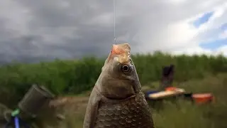 Рыбалка на карася, клюёт один за одним, много рыбы и хорошая ловля в грозу и ветер, рыболовство
