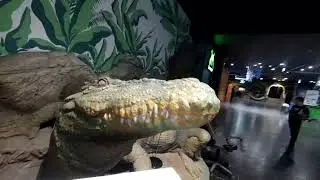 Океанариум