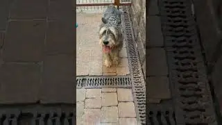 💔я очень за нее переживаю 