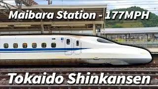 HIGH SPEED Tokaido Shinkansen at Maibara Station! - 米原駅 新幹線