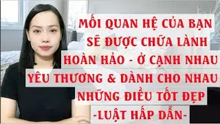 Mối quan hệ của bạn sẽ được chữa lành hoàn hảo  Ở cạnh nhau yêu thương