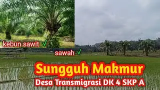DESA TRANSMIGRASI DK 4 SKP A TRANSMIGRASI RIAU