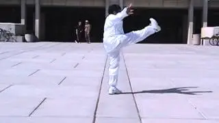 GM Victor Fu Demonstrates LiangYi Chuan at University of Utah World Tai Chi Day, April 2004