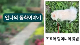 죠죠와 할머니의 꽃밭 | 안나의 동화이야기
