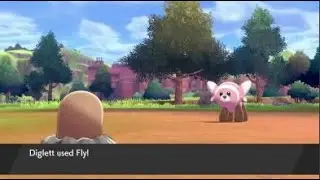 Diglett Used Fly!