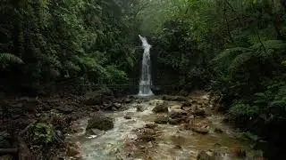 Breathing from deep !
