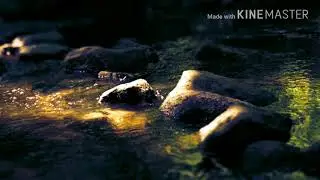 Кто наш Господь? Детские стихи и рассказы