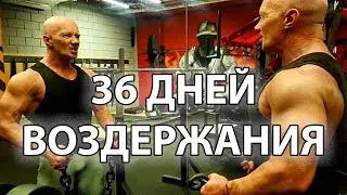 36 ДНЕЙ ВОЗДЕРЖАНИЯ. Воздержание месяц, мой опыт!