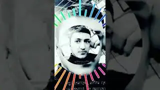 Daler Senga bergan mehrimni